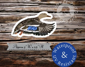 Hen mallard mallards sticker decal