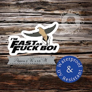 Im fast as F* boi dove sticker