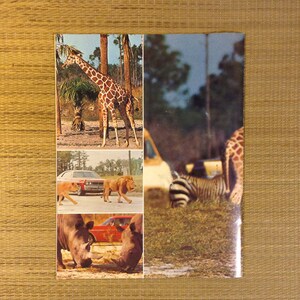 Vintage Lion Country Safari Souvenir Booklet, Florida, c. 1960's image 5