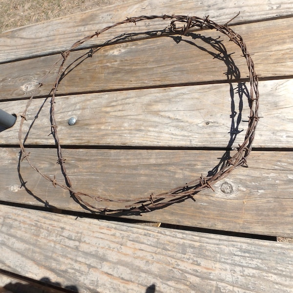 Vintage Barbed Wire 12 Feet Long - Rusty Colorado Range Find