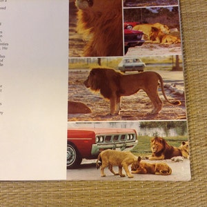 Vintage Lion Country Safari Souvenir Booklet, Florida, c. 1960's image 4
