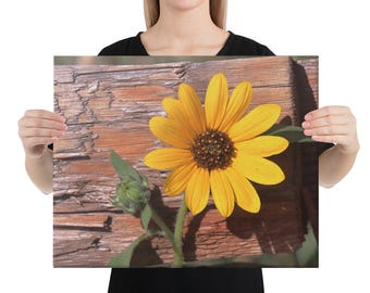 Good Morning Sunshine - Original Fine Art Photography Canvas Print