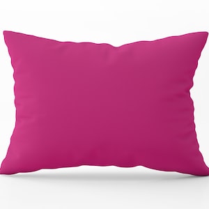 Pink Outdoor Lumbar Pillow, Outdoor pillow with Insert, Outdoor Throw Pillow, Bright Pink Lumbar Pillow, Water Resistant, 14x20 Pillow