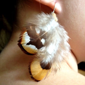 Feather Earrings Dangle Earrings Natural Earrings Real Feathers Can be Made with Clip Ons and Sensitive Ear Hooks image 2