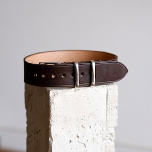 May include: A brown leather belt with a silver buckle. The belt is rolled up and sitting on a white concrete block.