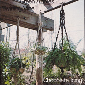 Könnte beinhalten: Zwei Makramee-Pflanzenhänger, einer in Weiß und einer in Braun, hängen an einer Holzpergola. Der weiße Hänger ist mit "Green Apples Twining Vine" und der braune mit "Chocolate Icing" beschriftet.