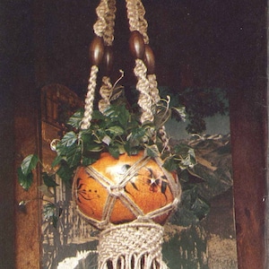 May include: A macrame plant hanger with a brown ceramic pot and green leafy plant. The hanger is made of natural fiber rope with a fringe at the bottom. The pot has a decorative design and is hanging in front of a wooden wall with a sign that says "Chateau".