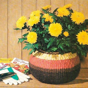 Puede incluir: Una planta de crisantemo amarillo en una cesta tejida con rayas marrones, rosas y doradas. La planta está sentada sobre una superficie de madera con una maceta de cerámica marrón, un paquete de semillas de flores y guantes de jardinería.
