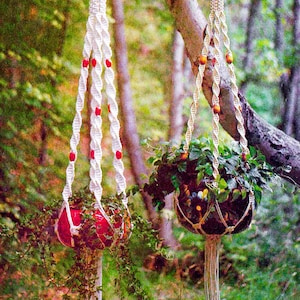 May include: Two macrame plant hangers with red and orange beads hanging from a tree branch in a woodland setting. The plant hangers are made with white cord and have a tassel at the bottom.