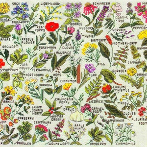 Herb & Spice Vintage Cross Stitch Pattern Book PDF • Easy Mini Vintage Sampler Natural Remedies Plant Medicinal Plant Vegetable Flowers Tea