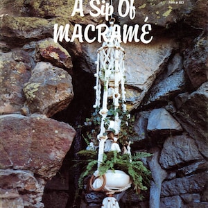 May include: A macrame plant hanger with a white pot and green plants hanging from a stone wall. The text "A Sip Of Macrame From Brandy's" is on the image.