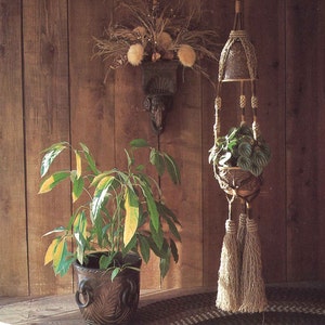 May include: A macrame plant hanger with a brown ceramic pot and green plant hanging from a wooden wall. A potted plant with green and yellow leaves sits on the floor in front of the hanger.