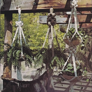 May include: Three macrame plant hangers, labeled "Maypole", "Bouquet of Knots", and "Double Decker", hang from a wooden beam. Each hanger is made with white cord and features a different knot pattern. The hangers are decorated with green plants.