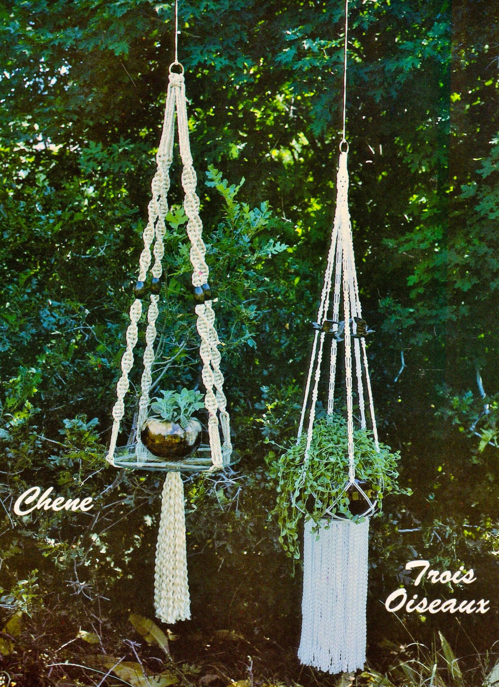 Vintage Macrame Pattern PDF Macrame Elegance VII 7 1970s Etsy