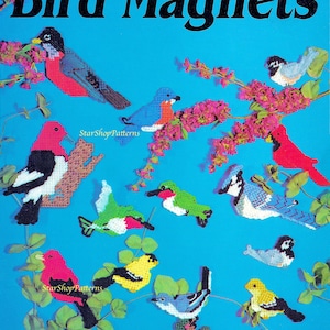 Vintage Plastik Leinwand Musterbuch PDF • Vogel Magnet Plastik Leinwand Muster • Stieglitz Kolibri Fink Meise Rotkehlchen Kardinal Blauhäher