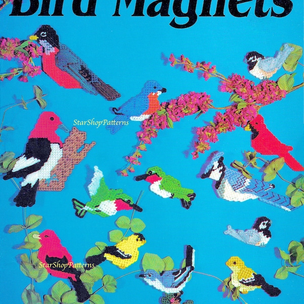 Vintage Plastic Canvas Pattern Book PDF • Bird Magnet Plastic Canvas Pattern • Goldfinch Hummingbird Finch Chickadee Robin Cardinal Blue Jay