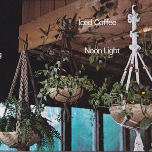 May include: Three hanging plant pots with macrame hangers. The pots are filled with green plants. The macrame hangers are labeled "Climbing Vine", "Noon Light", and "Iced Coffee".