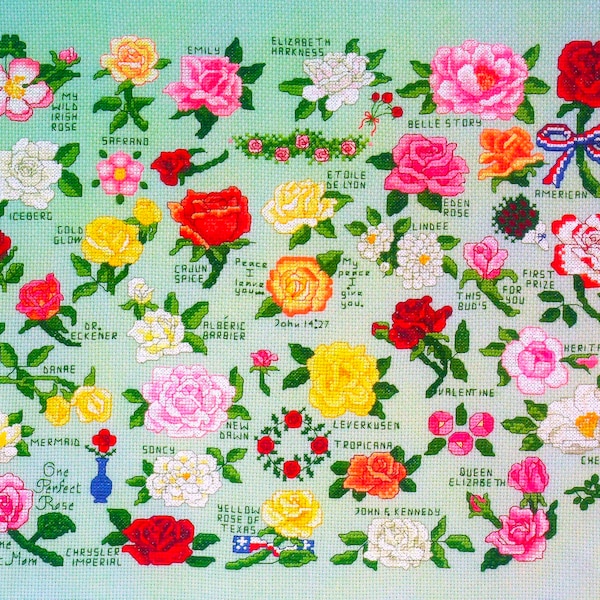 Rose Cross Stitch Pattern Book PDF • Easy Beginner Mini Vintage Cross Stitch Pattern Sampler • Flower Floral Wild Roses Red Rose Rose Garden