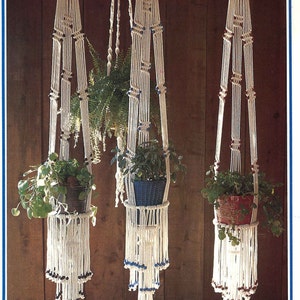 May include: Three macrame plant hangers with white cord and blue and brown beads. The hangers are hanging from the ceiling and each has a potted plant.