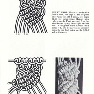 Pu&ograve; includere: Un'illustrazione in bianco e nero di una tecnica di annodatura chiamata Nodo Berry. L'illustrazione mostra i passaggi coinvolti nell'annodatura del nodo, con corde numerate e frecce che indicano la direzione delle corde. Il testo "Berry Knot" &egrave; scritto in maiuscolo nella parte superiore dell'illustrazione. Sotto l'illustrazione c'&egrave; una descrizione della tecnica di annodatura.