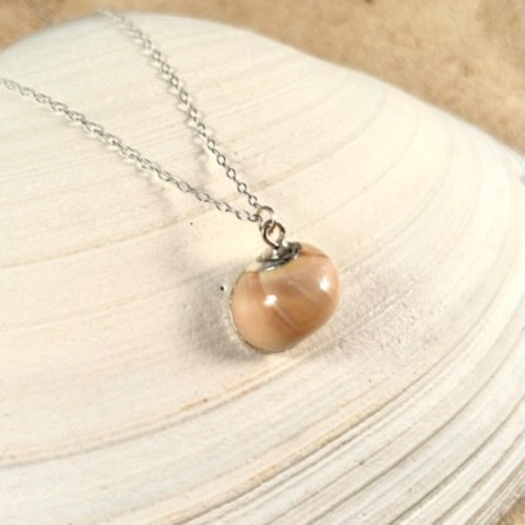 Real Moon Snail Shell Necklace, Shell Necklace, Nautical Gift, Sterling