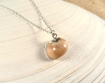 Real Moon Snail Shell Necklace, Shell Necklace, Nautical Gift, Sterling Silver Necklace