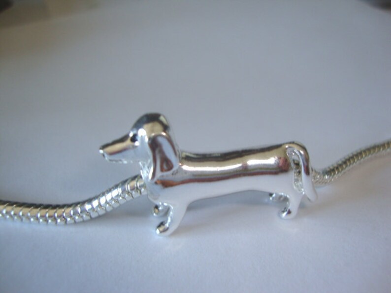 sausage dog pandora