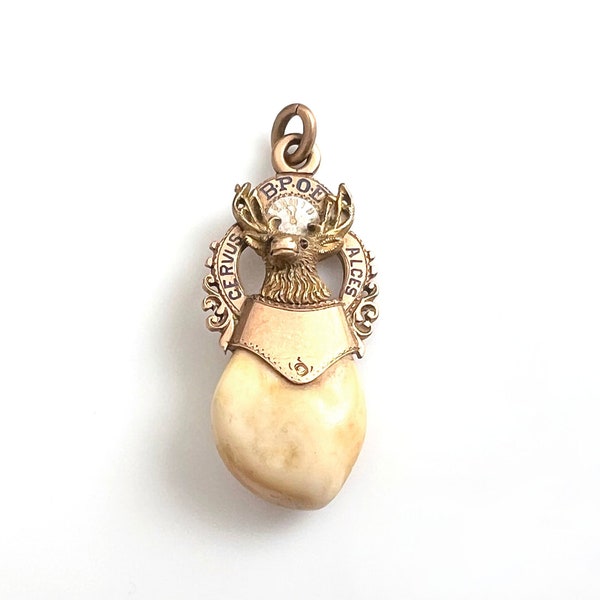 14K Rose Gold Elks Lodge Pendant With Ruby Eyes and Elk Tooth /Chapter 583 Redlands California