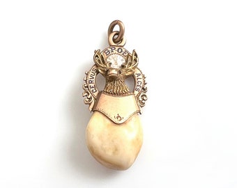 14K Rose Gold Elks Lodge Pendant With Ruby Eyes and Elk Tooth /Chapter 583 Redlands California