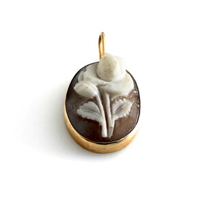 K&ouml;nnte beinhalten: Ovaler Anh&auml;nger mit einem geschnitzten Cameo einer Rose in Wei&szlig;- und Braunt&ouml;nen. Der Cameo ist in einem goldfarbenen Rahmen mit einer kleinen Schlaufe oben f&uuml;r eine Kette gefasst.