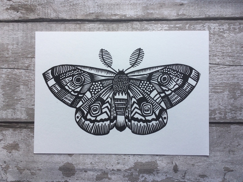Moth Moth Print Moth art tattoo art Linocut Animal Art Nature lover Lino print Insect Gold gift for lepidopterist image 1