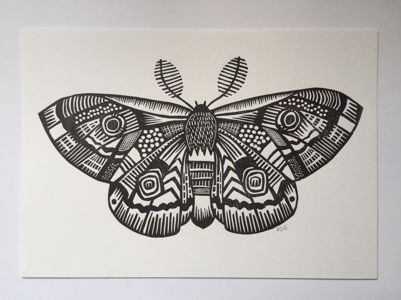 Moth Moth Print Moth art tattoo art Linocut Animal Art Nature lover Lino print Insect Gold gift for lepidopterist image 2
