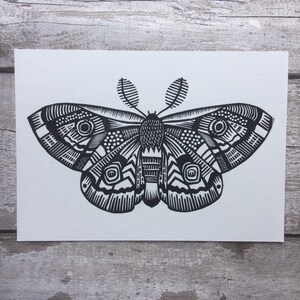 Moth Moth Print Moth art tattoo art Linocut Animal Art Nature lover Lino print Insect Gold gift for lepidopterist image 4
