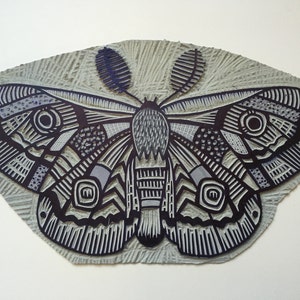 Moth Moth Print Moth art tattoo art Linocut Animal Art Nature lover Lino print Insect Gold gift for lepidopterist image 3