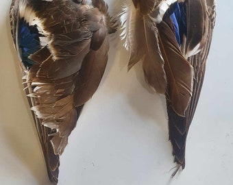 Dried Preserved Duck Wing Pair