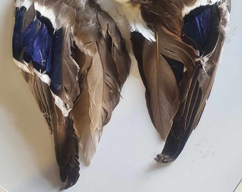 Dried Preserved Duck Wing Pair