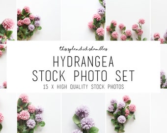 Hydrangea Stock Images - 15 Flower Stock Photo Pack For Bloggers