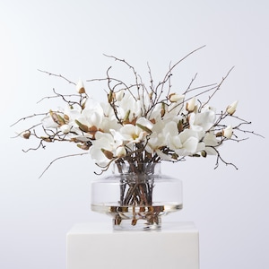 Magnolia Blooms & Branches In Large Modern Saucer Style Vase Everyday Spring Water Illusion Arrangement - Available In 4 Color Options