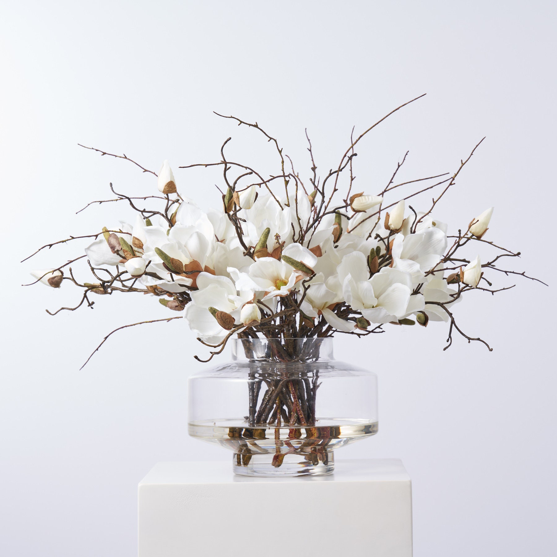 Magnolia Blooms & Branches In Large Modern Saucer Style Vase Everyday Spring Water Illusion Arrangement - Available In 4 Color Options