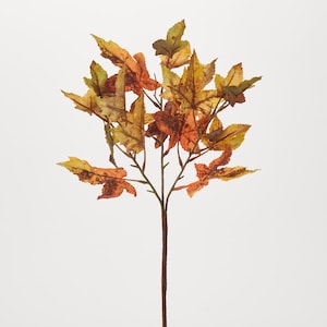 Könnte beinhalten: Ein einzelner Stiel mit künstlichem Herbstlaub mit braunen, orangefarbenen und gelben Blättern. Die Blätter sind an der Spitze des Stiels in einer Gruppe angeordnet.