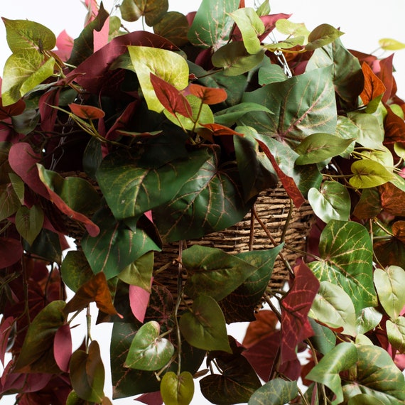 Red & Green Pothos Vine Artificial Plant in Round Grapevine Hanging Basket  - Etsy