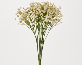 Crème baby's Breath gipskruid boeket voor elke dag - 15"