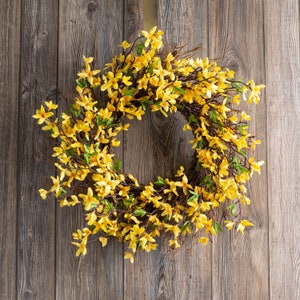 Golden Yellow Forsythia on Twig Base Spring Summer Front Door Wreath 22 image 3