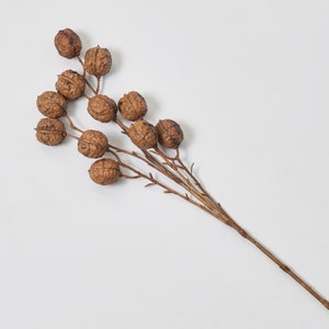 Brown Chestnut Pod Twig Branch Faux Single Stem  - 25&quot;