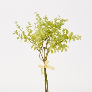 Bright Green Eucalyptus Bundle Bouquet of 5 Stems - 14&quot;