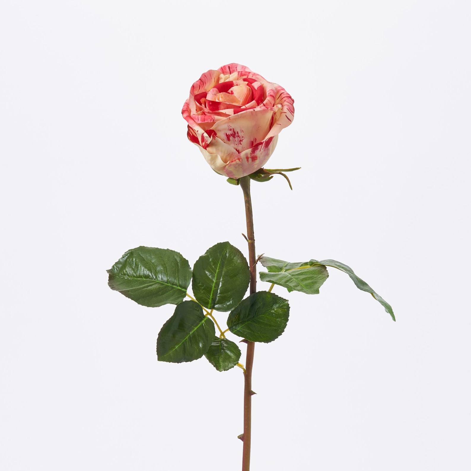 Raspberry Cane Roses Real Touch Red Candy Cane Stripe Rose Bloom Christmas Faux Floral Stem ...