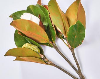 Preparado para inventario de producción - Brote de magnolia grande Real Touch, tallo de rama grande de 31".