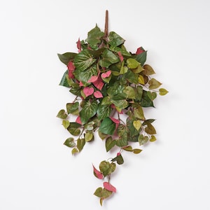 May include: Artificial hanging plant with green and pink leaves. The leaves vary in size and shape, with some displaying a heart-like form. The plant is attached to a brown stem, creating a natural look. Ideal for adding a touch of greenery to any space.