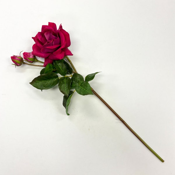 Magenta Pink Real Touch Garden Rose Bloom Everyday Spring Faux Floral Stem  - 22"