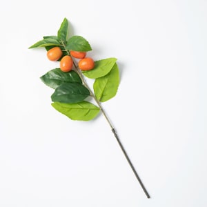 Faux Orange Kumquat & Leaf Stem Branch - 15&quot;